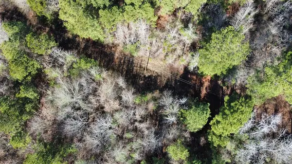 17584 Fm 1252, Winona, TX 75792