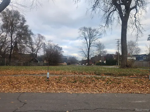 1408 LANSING, Detroit, MI 48209