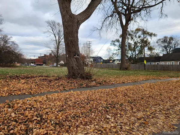 1408 LANSING, Detroit, MI 48209