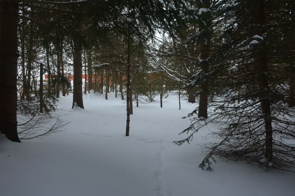 146 Whiting ST, Ingersoll, ON N5C 3B3