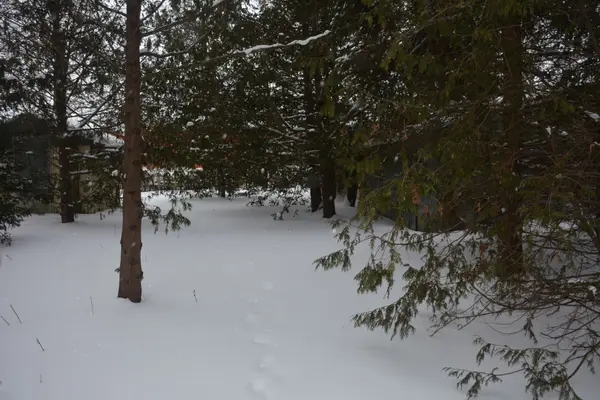 146 Whiting ST, Ingersoll, ON N5C 3B3