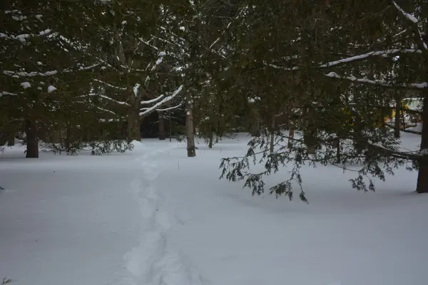 146 Whiting ST, Ingersoll, ON N5C 3B3