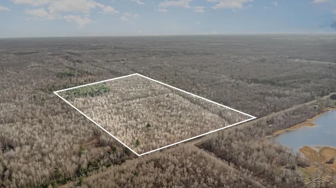 S County Line RD, Greendale Twp, MI 48883