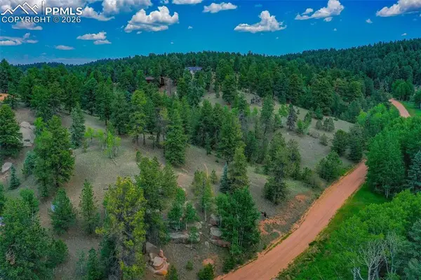549 Spring Valley LN, Florissant, CO 80816