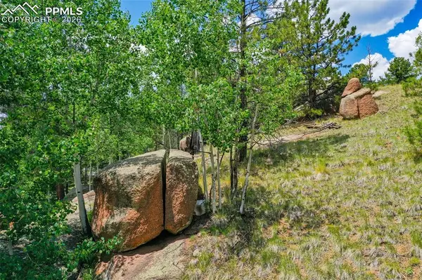 549 Spring Valley LN, Florissant, CO 80816