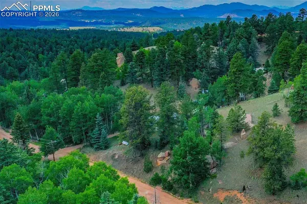 549 Spring Valley LN, Florissant, CO 80816