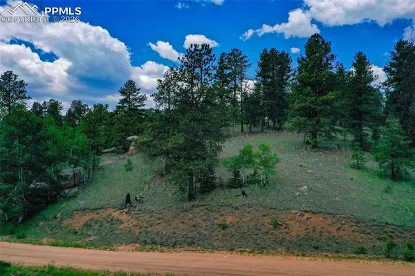 525 Spring Valley LN, Florissant, CO 80816