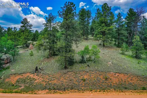 525 Spring Valley LN, Florissant, CO 80816