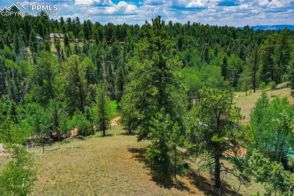 525 Spring Valley LN, Florissant, CO 80816