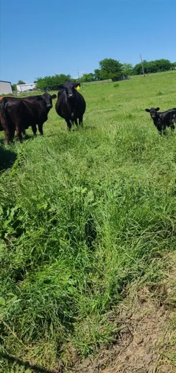 TBD Us-69 Highway, Lone Oak, TX 75453