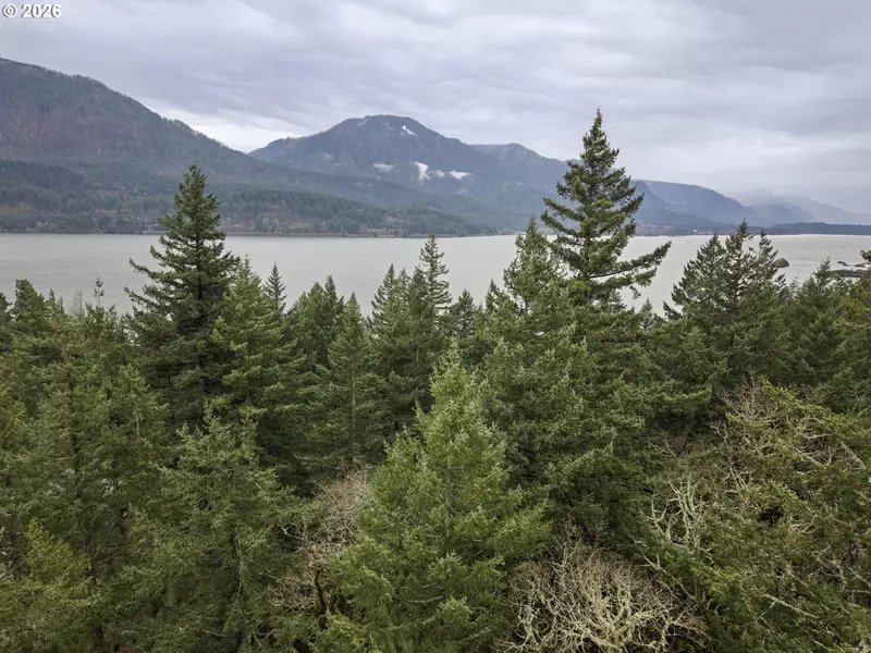 Seward RD, Carson, WA 98610