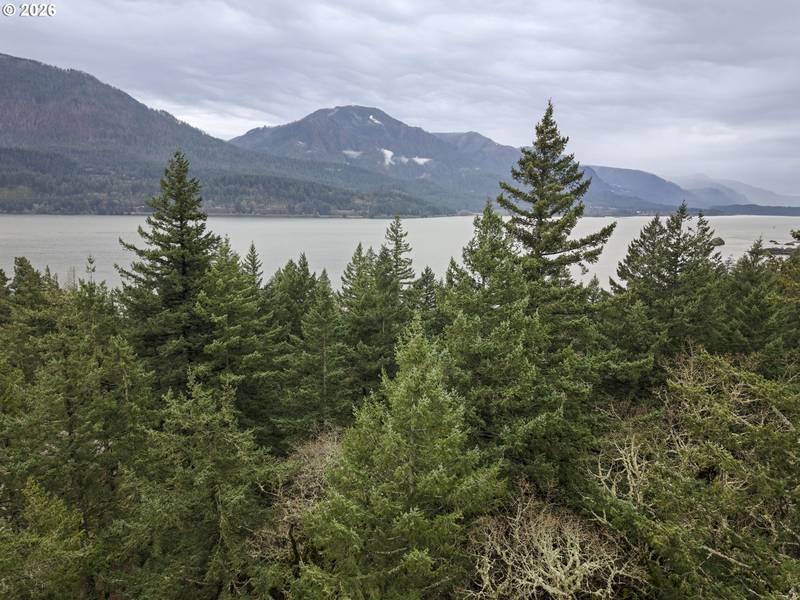 Seward RD, Carson, WA 98610