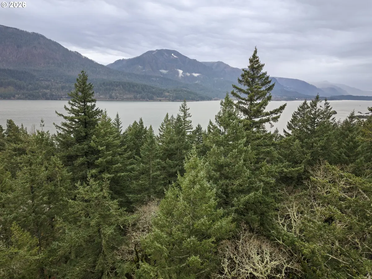 Seward RD, Carson, WA 98610