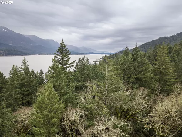 Carson, WA 98610,Seward RD