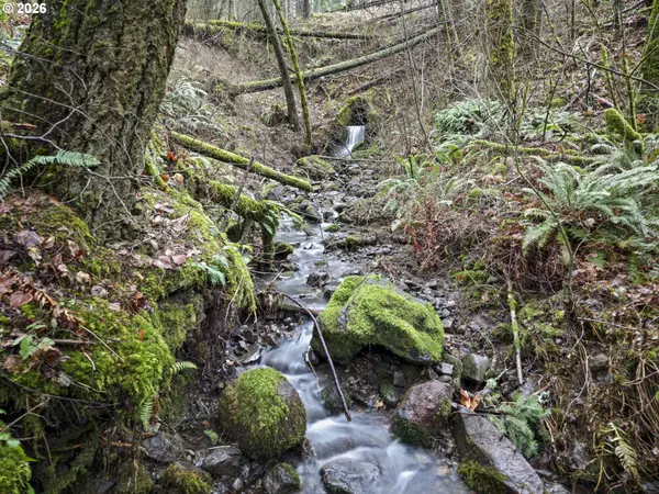 Seward RD, Carson, WA 98610