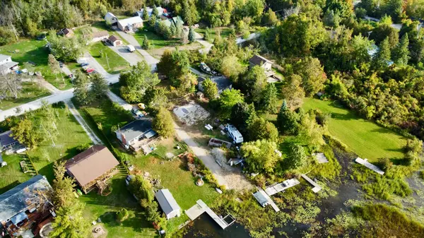 175 Mcguire Beach RD, Kawartha Lakes, ON K0M 2B0