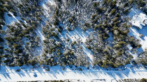 Lot 22 Ray DR, Northern Bruce Peninsula, ON N0H 2R0