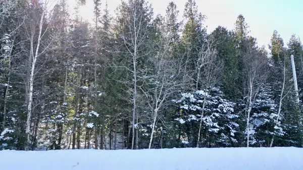 Lot 30 Myles DR, Northern Bruce Peninsula, ON N0H 2R0