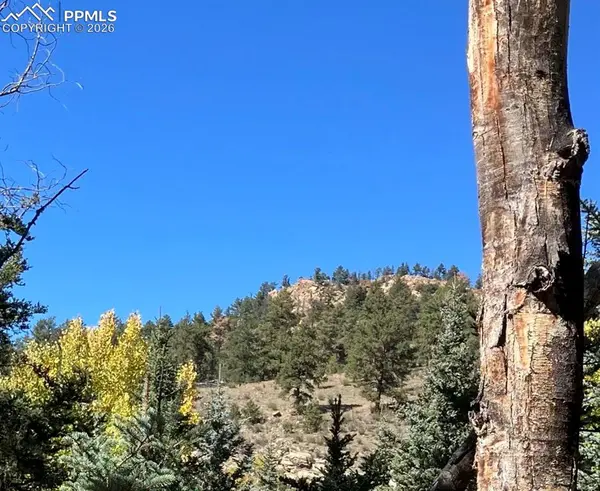 Lot 1 County Road 358, Westcliffe, CO 81252