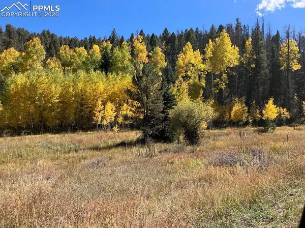 Lot 1 County Road 358, Westcliffe, CO 81252