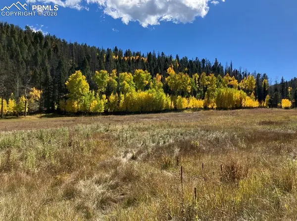 Lot 1 County Road 358, Westcliffe, CO 81252