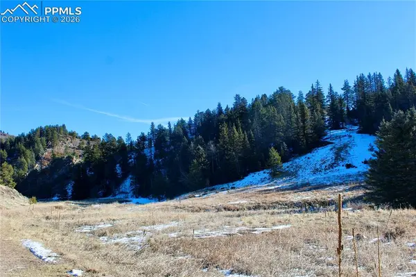 Lot 1 County Road 358, Westcliffe, CO 81252