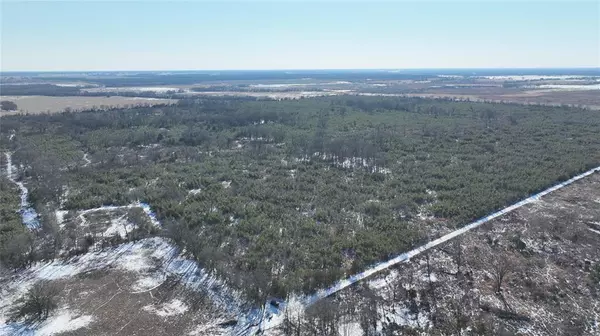 Bagwell, TX 75412,TBD County Road 2242