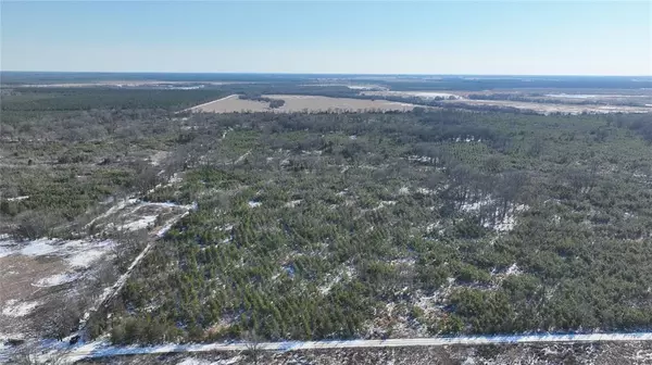 Bagwell, TX 75412,TBD County Road 2242