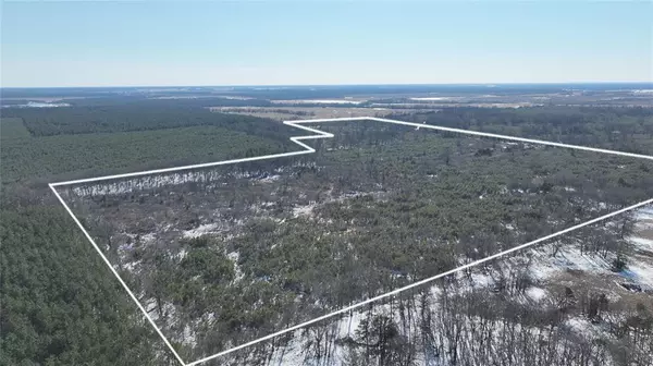 TBD County Rd 2242 S., Bagwell, TX 75412