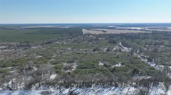 Bagwell, TX 75412,TBD County Rd 2242 S.