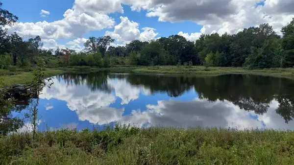 TBD FM-195, Bagwell, TX 75412