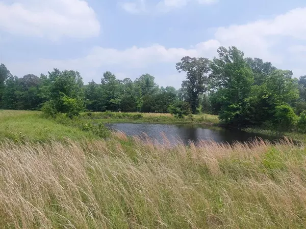 Bagwell, TX 75412,TBD FM-195