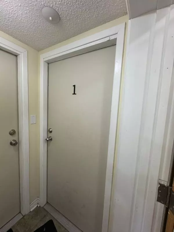 183 Harold ST #2nd Level, Brampton, ON L6Y 2G3