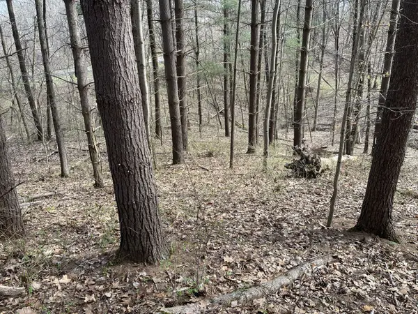 Strouds Run Rd, Athens, OH 45701