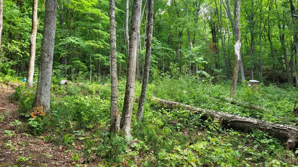 Dysart Et Al, ON K0L 1M0,00 Lot 1 Elephant Lake WAO N/A