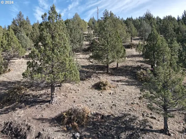 4008 PATTERSON DR, Canyon City, OR 97820