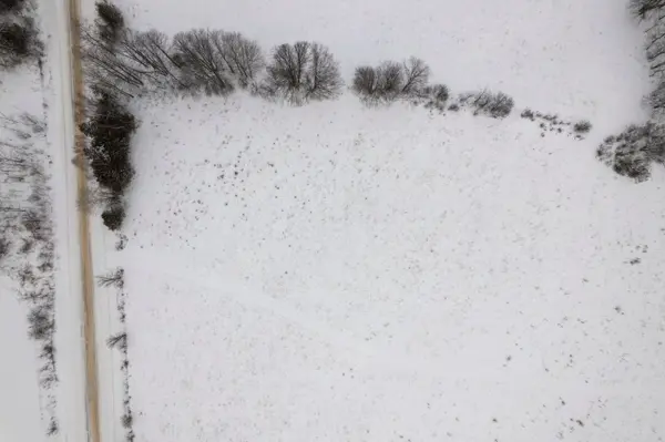 000 Germanicus RD, North Algona Wilberforce, ON K0J 1T0