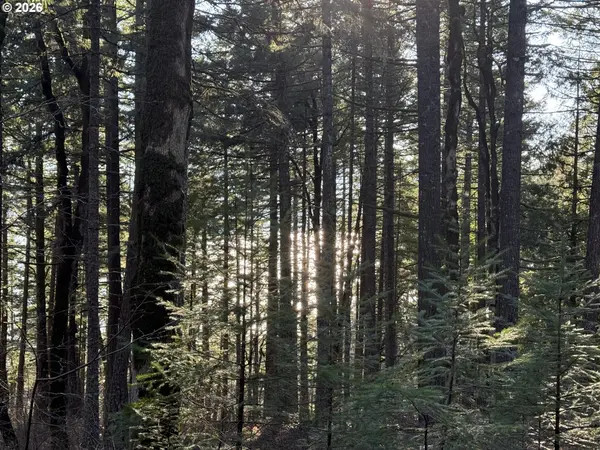 Seward RD, Carson, WA 98610