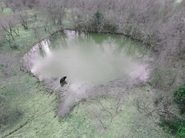 TBD FM 933, Whitney, TX 76692