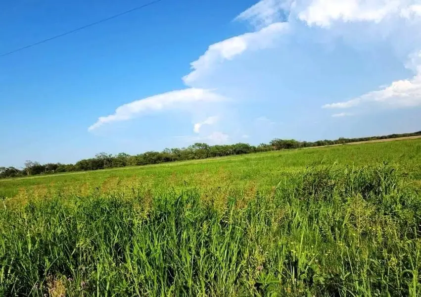 TBD FM rd 57 Road, Sylvester, TX 79560