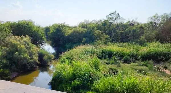 TBD FM rd 57 Road, Sylvester, TX 79560