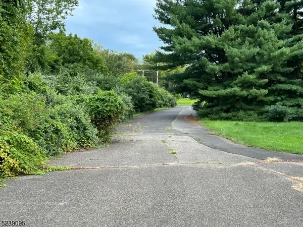 110 Woodfern Rd, Branchburg Twp., NJ 08853