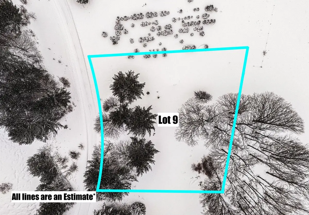 Lot #9 Kadi LN, Almira Twp, MI 49650