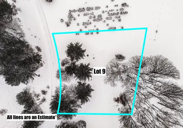 Lot #9 Kadi LN, Almira Twp, MI 49650