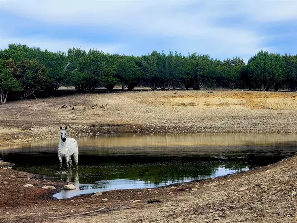 Lampasas, TX 76550,Tract 2 County Road 208