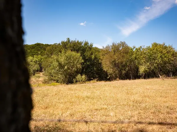 Lot 165 Pleasant Valley Road, Mineral Wells, TX 76067