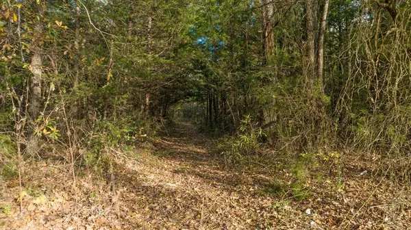 TBD CR 1440, Bogata, TX 75417