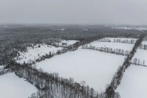 251 MILL RD, Chatsworth, ON N0H 1R0