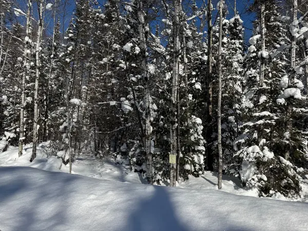 0 Highway 518 HWY, Kearney, ON P0A 1M0