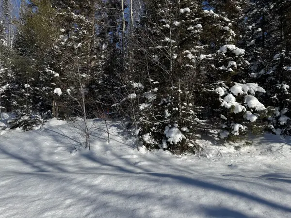 0 Highway 518 HWY, Kearney, ON P0A 1M0